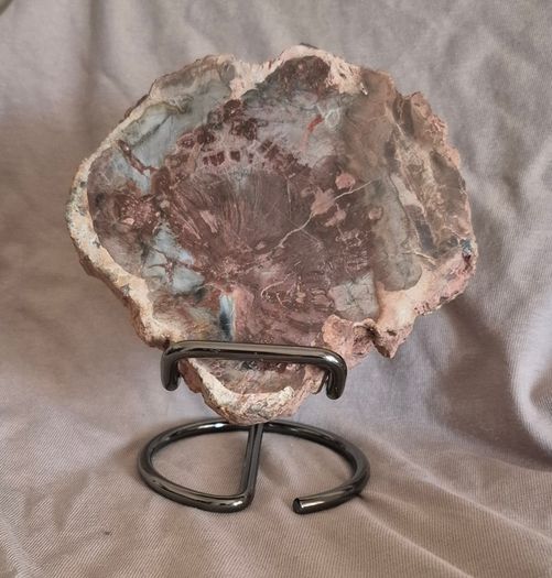 Fossilized wood, Madagascar, Triassic period. With metal display stand.