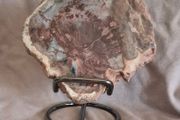 Fossilized wood, Madagascar, Triassic period. With metal display stand.