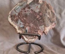 Fossilized wood, Madagascar, Triassic period. With metal display stand.