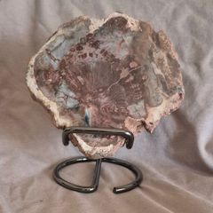 Fossilized wood, Madagascar, Triassic period. With metal display stand.