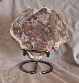 Fossilized wood, Madagascar, Triassic period. With metal display stand.