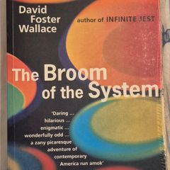 The broom of the System