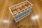 Holder Egg Storage Basket