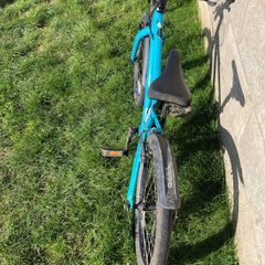 Kids Ridgeback Bike