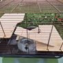 Hamster Cage Image 3