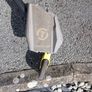 Scooter Image 6