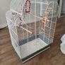bird cages Image 2