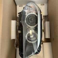 BMW Halogen Headlights