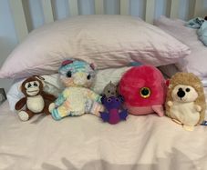 Cute soft teddy's