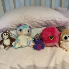 Cute soft teddy's