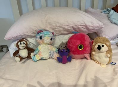 Cute soft teddy's