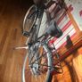 ladies bicycle Image 5
