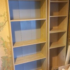 Book Shelves