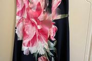 Debue Fit &amp; Flare Dress