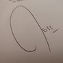 Should Have Got Off at Sydney Parade ! Hand Signed by Ross O'Carroll-Kelly ! 2006 ! by Penguin Ireland ! AUTOGRAPH ! Image 10
