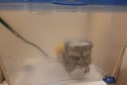 plastic fish tank