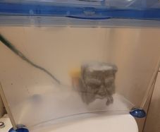 plastic fish tank
