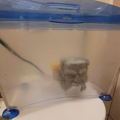 plastic fish tank