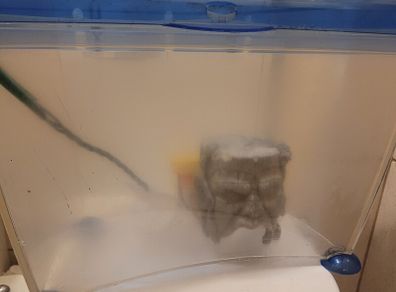 plastic fish tank