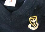 templeogue college school jumper