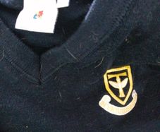 templeogue college school jumper