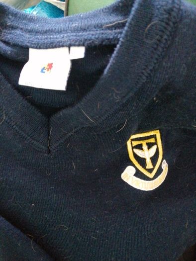 templeogue college school jumper