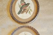 Bird prints