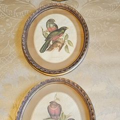 Bird prints