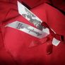 Red Satin Blouse Image 3