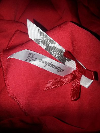 Red Satin Blouse
