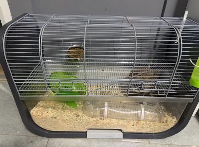 Gerbil cage