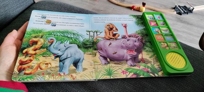 book in Polish