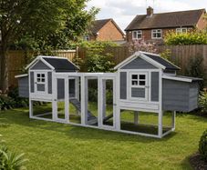Large Chicken Coop 10 to 12 Birds Ladies Quarters