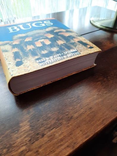 Visual Factfinder:Bugs 2008