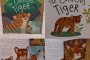 The Curious Tiger Story Book