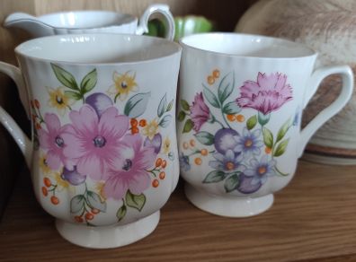 Pair of Floral Mug