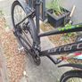 bike adults Image 5
