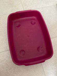 Small Kitten Litter Tray