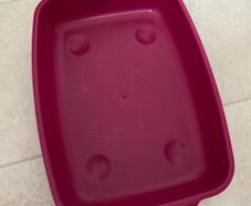 Small Kitten Litter Tray