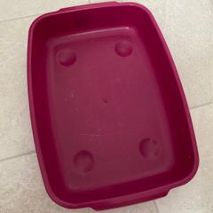 Small Kitten Litter Tray