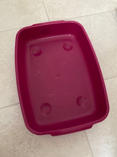 Small Kitten Litter Tray