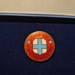 Antique Edwardian Welsh "Teulu Duw Faith & Family" blue cross enamel badge.