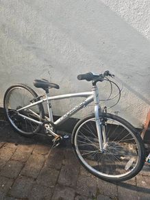 Ridgeback Dimension 24 inch