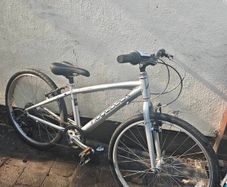 Ridgeback Dimension 24 inch