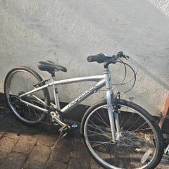 Ridgeback Dimension 24 inch