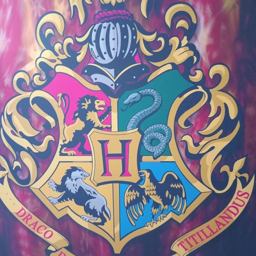 Large 80 x 60 Vintage Harry Potter Canvas "Hogwarts Crest"