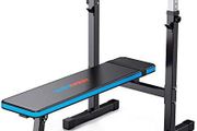 Adjustable Weight Bench with Dip Station Folding Heavy Duty Weight Lifting Bench Home Training Gym Multiuse Workout Bench