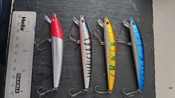 4 Minnows