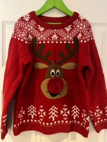 NEXT reindeer jumper