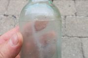 Vintage bottle